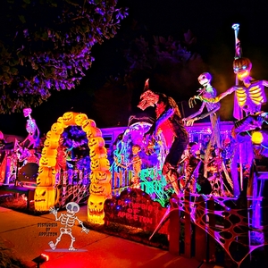 Fundraising Page: Disturbia of Appleton